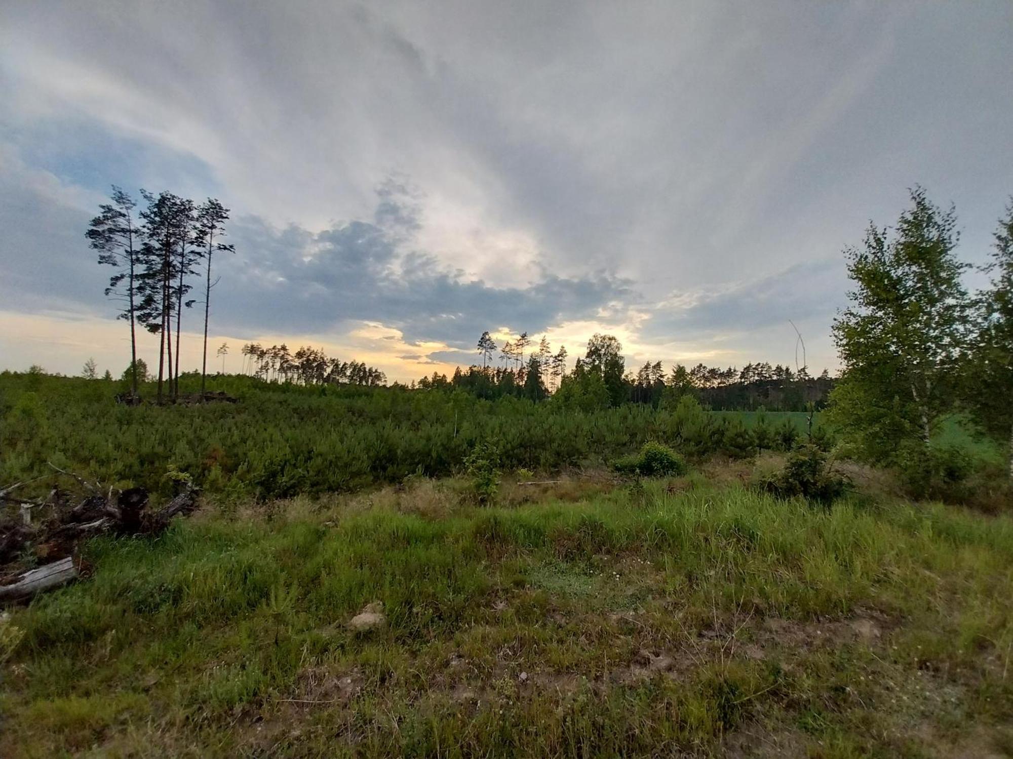 Villa Wypoczynek Kocia Gora Dziemiany Exterior foto