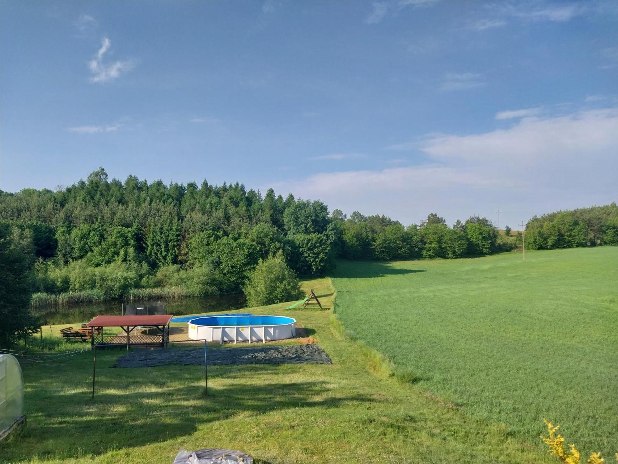 Villa Wypoczynek Kocia Gora Dziemiany Exterior foto