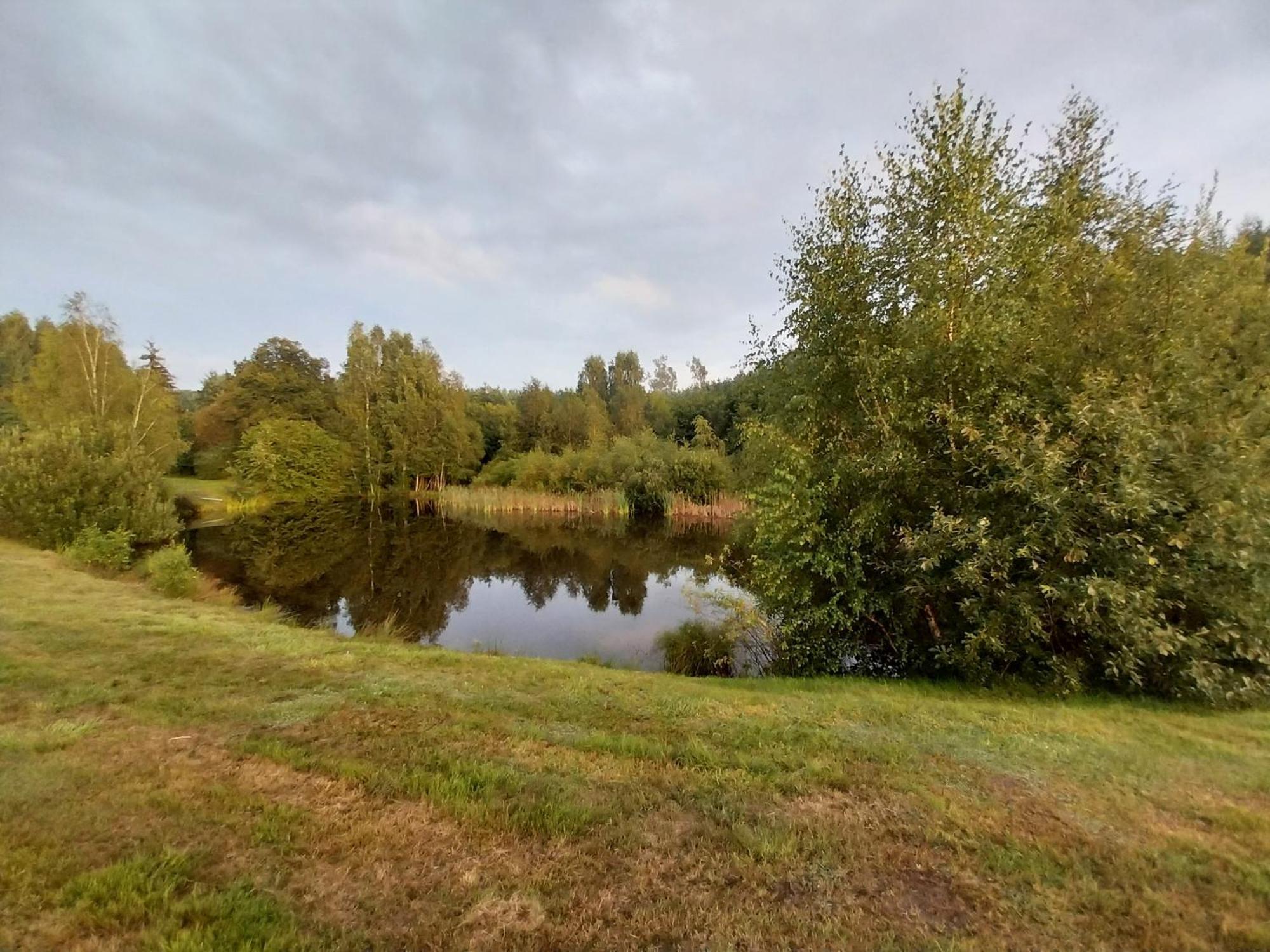 Villa Wypoczynek Kocia Gora Dziemiany Exterior foto