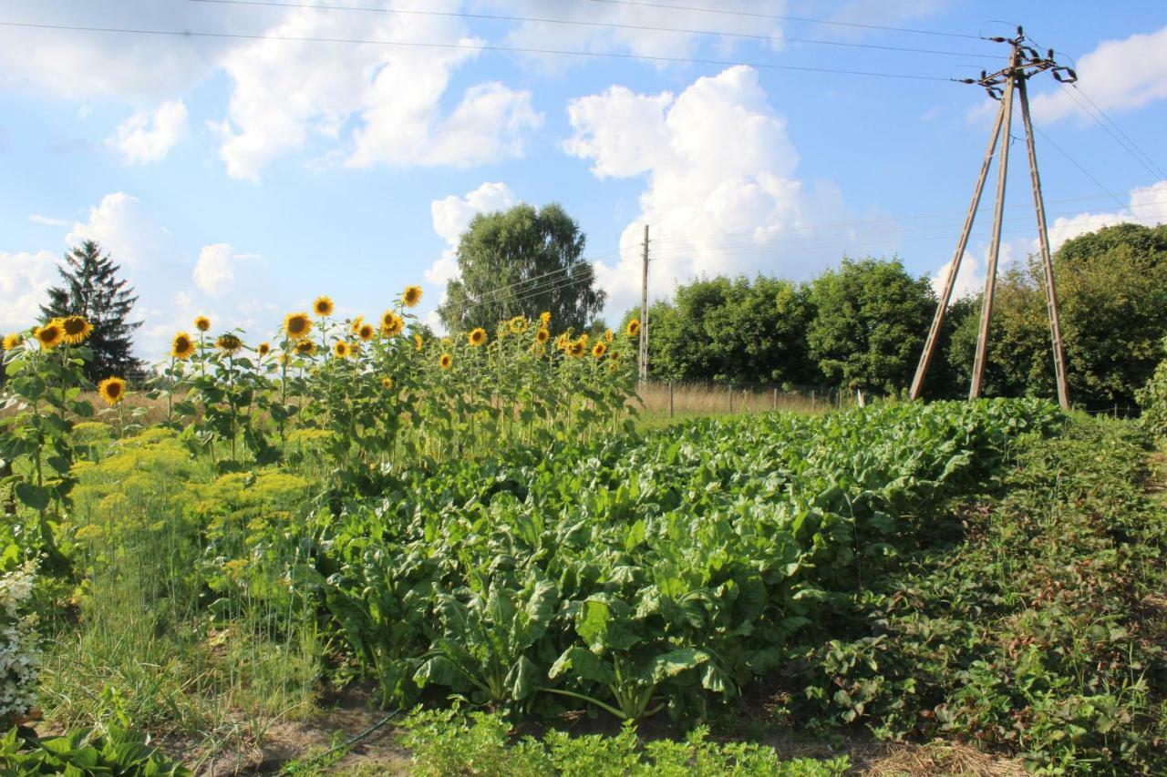 Villa Wypoczynek Kocia Gora Dziemiany Exterior foto