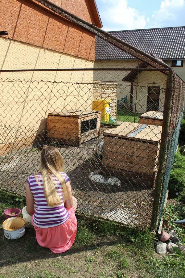 Villa Wypoczynek Kocia Gora Dziemiany Exterior foto